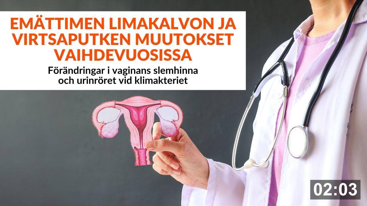 Emattimen-limakalvon-ja-virtsaputken-muutokset-vaihdevuosissa